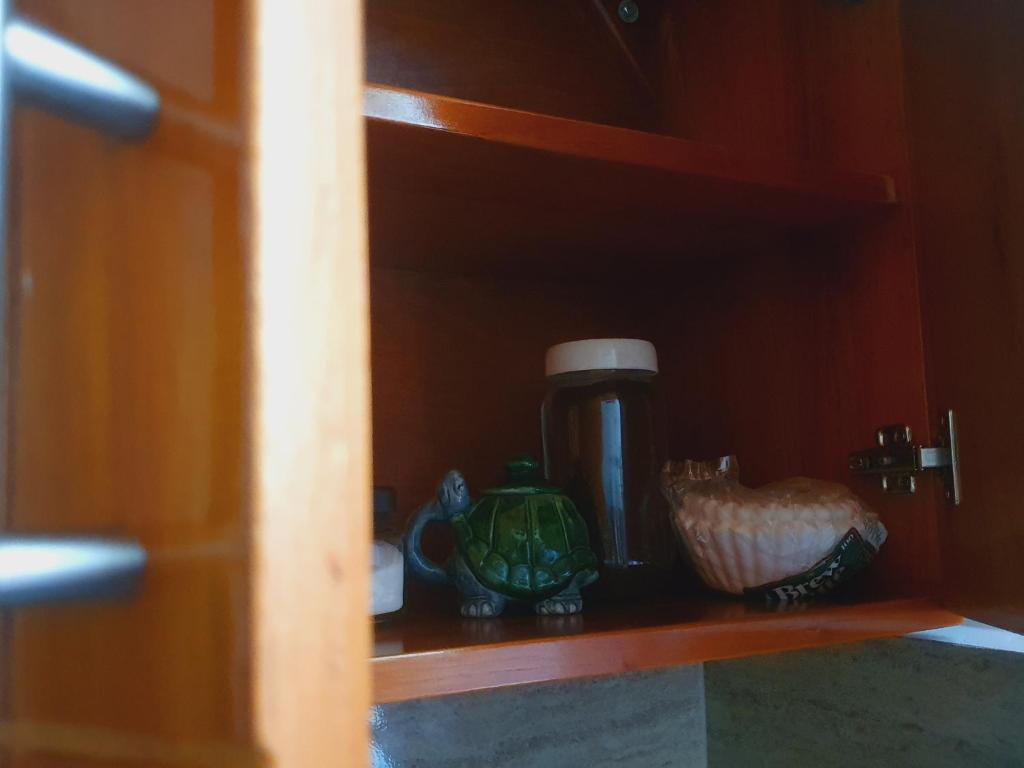 Suite Amoblada En Santa Cruz Puerto Ayora  Buitenkant foto